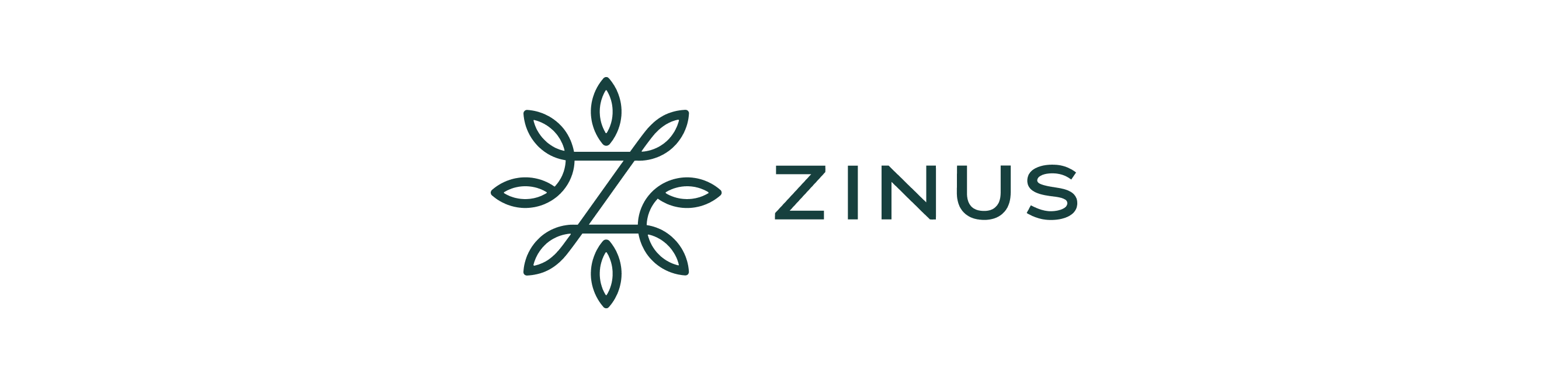zinus